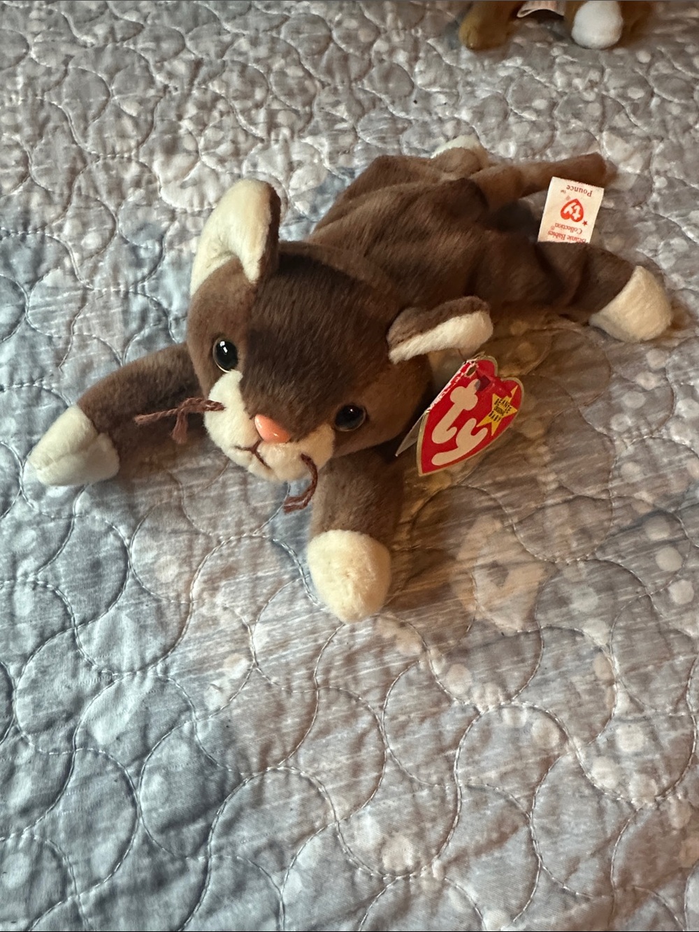 Ty Beanie Baby “Pounce” and Cat Plush with Tag